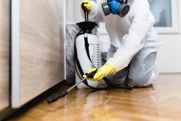 Best Affordable Pest Control Services  in Queen Anne, MD