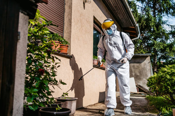 Best Exterminator Services  in Queen Anne, MD