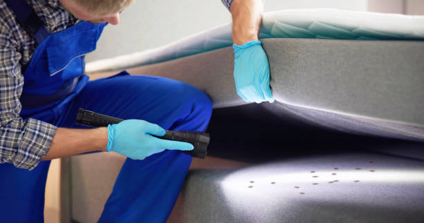 Best Affordable Pest Control Services  in Queen Anne, MD