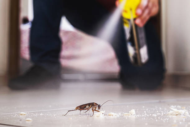 Best Wildlife Control Services  in Queen Anne, MD