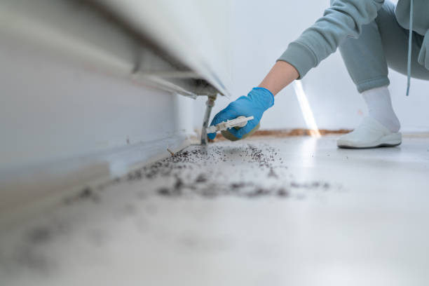 Best Residential Pest Control  in Queen Anne, MD